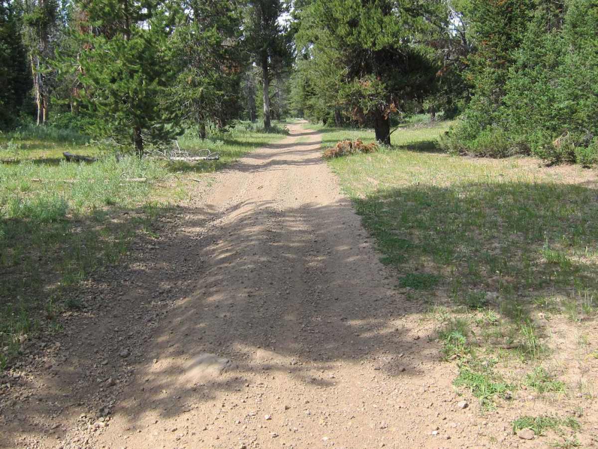 Old Logan Road photo 2