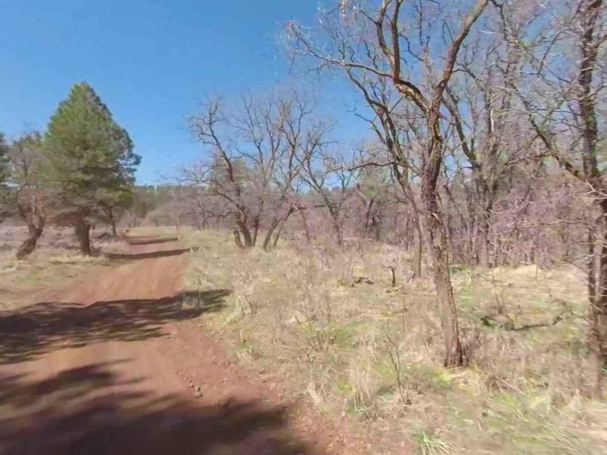 Nixon South Road BLM 1044 photo 6
