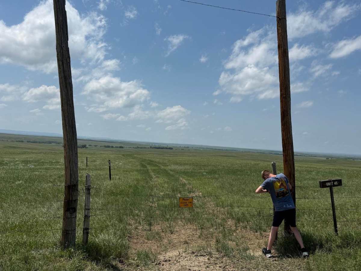 Prairie Dog - FR 925 photo 2