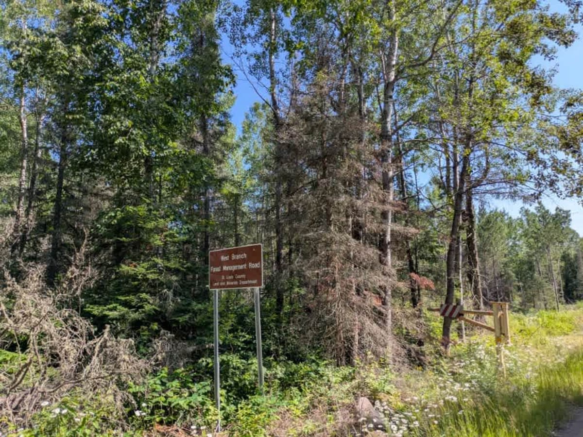 West Branch Trail trail photo