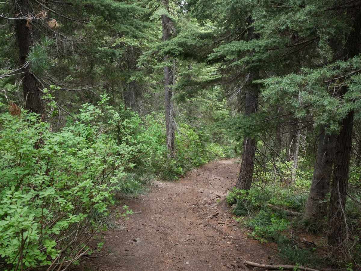 St Joe Divide NRT ATV photo 4