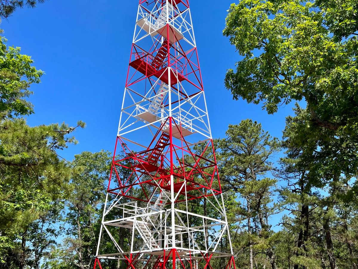 Batsto Fire Tower to Quaker Bridge trail photo