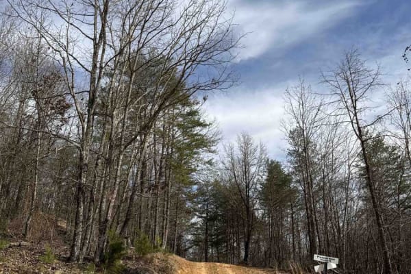 #2 Bluff Trail