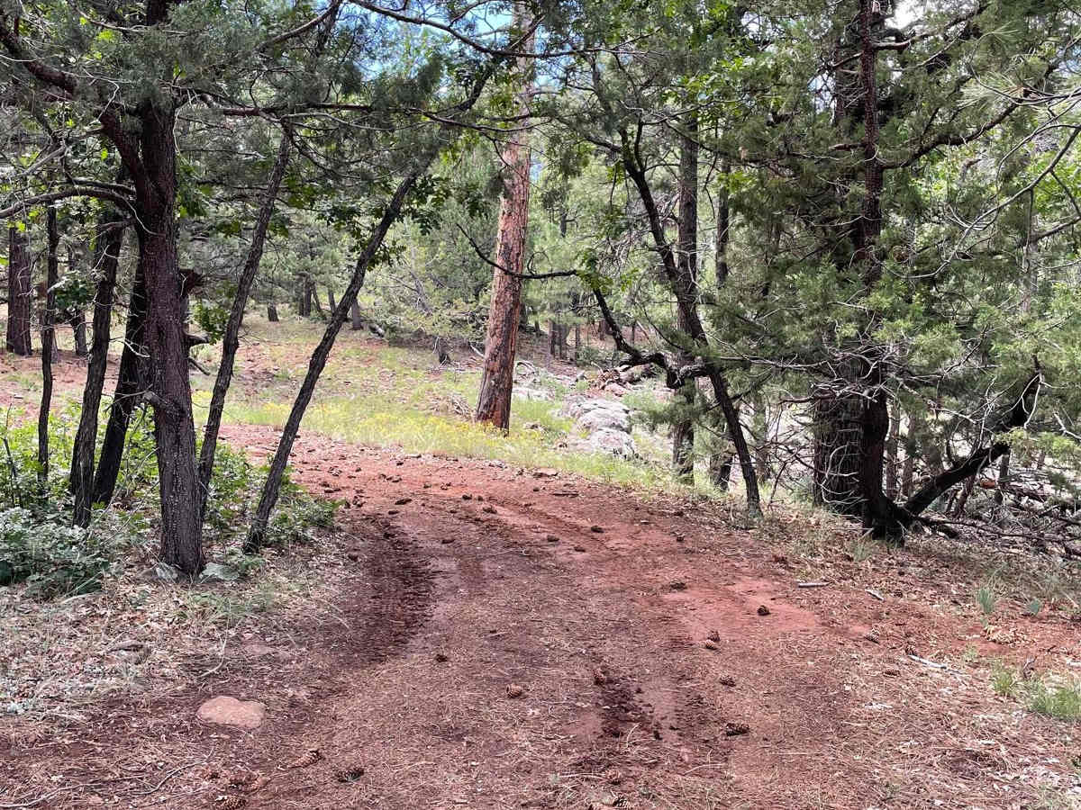 Scrub Oak Bypass photo 2