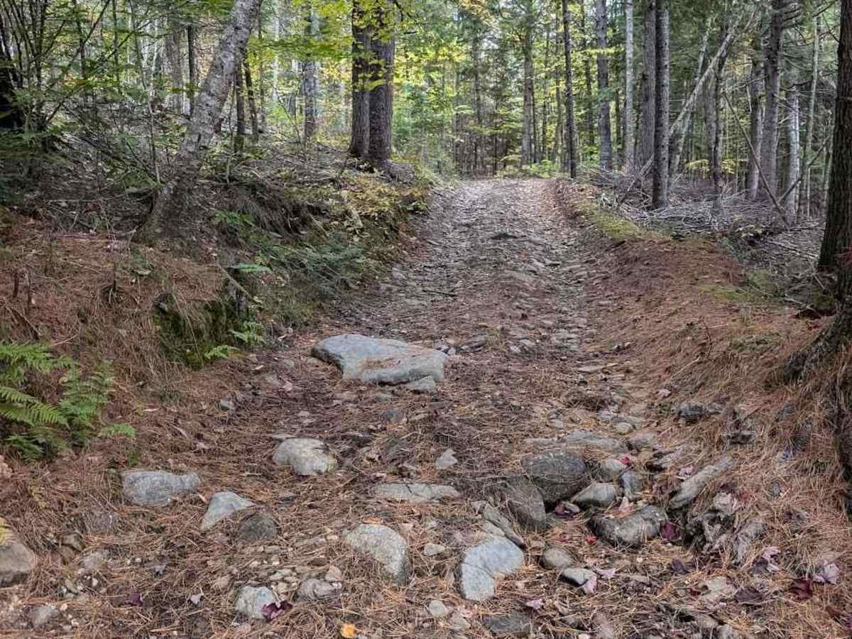 Firewood Lane Gully photo 6
