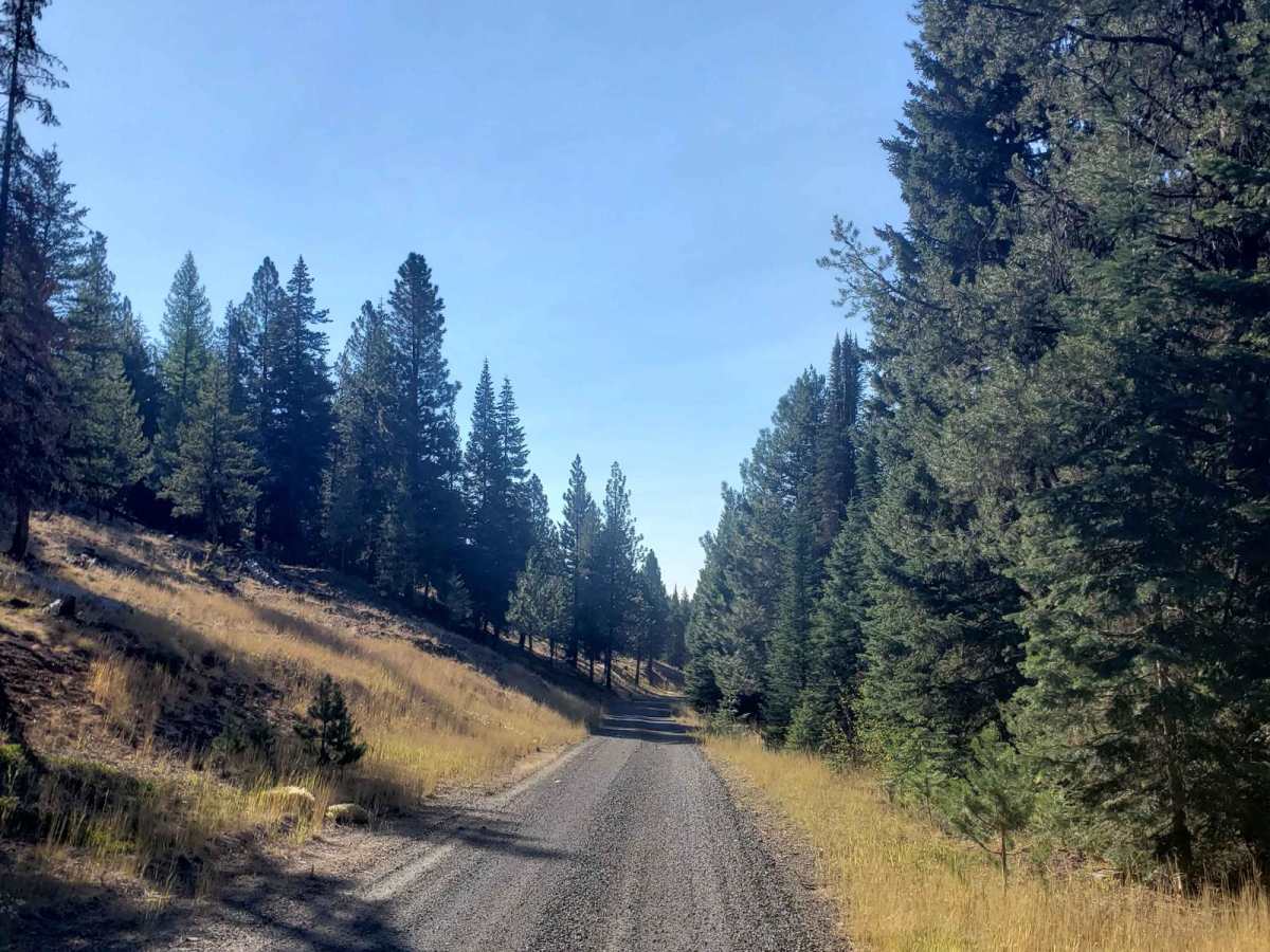 High Lake Road photo 3