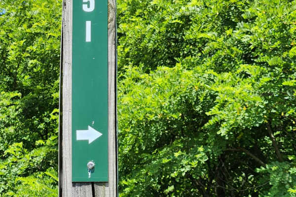 Trail 5I - Rock Run Recreation Area