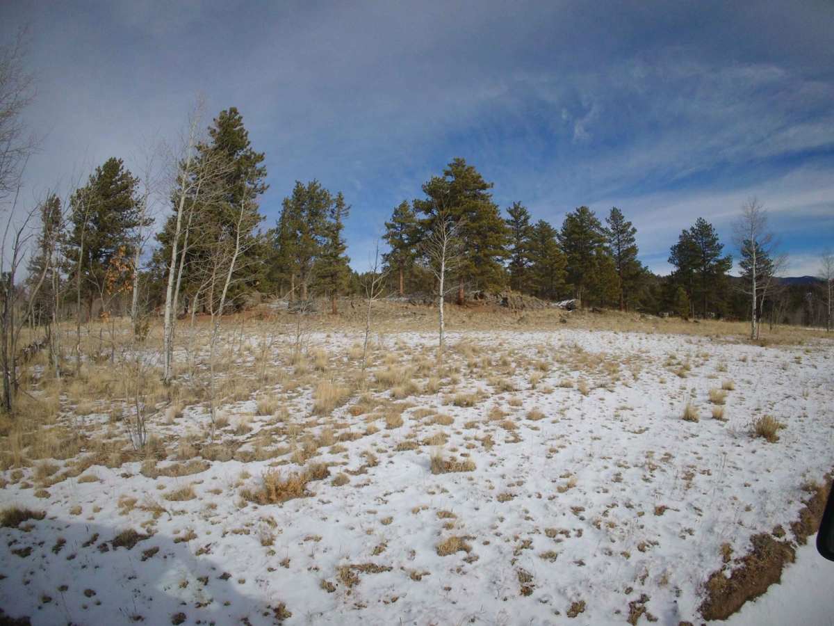 Reese Road - FS 844 photo 6
