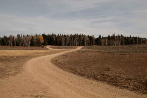 Curtis Creek Road (FR059)