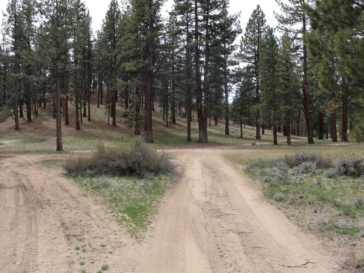 Long Valley Road photo 6