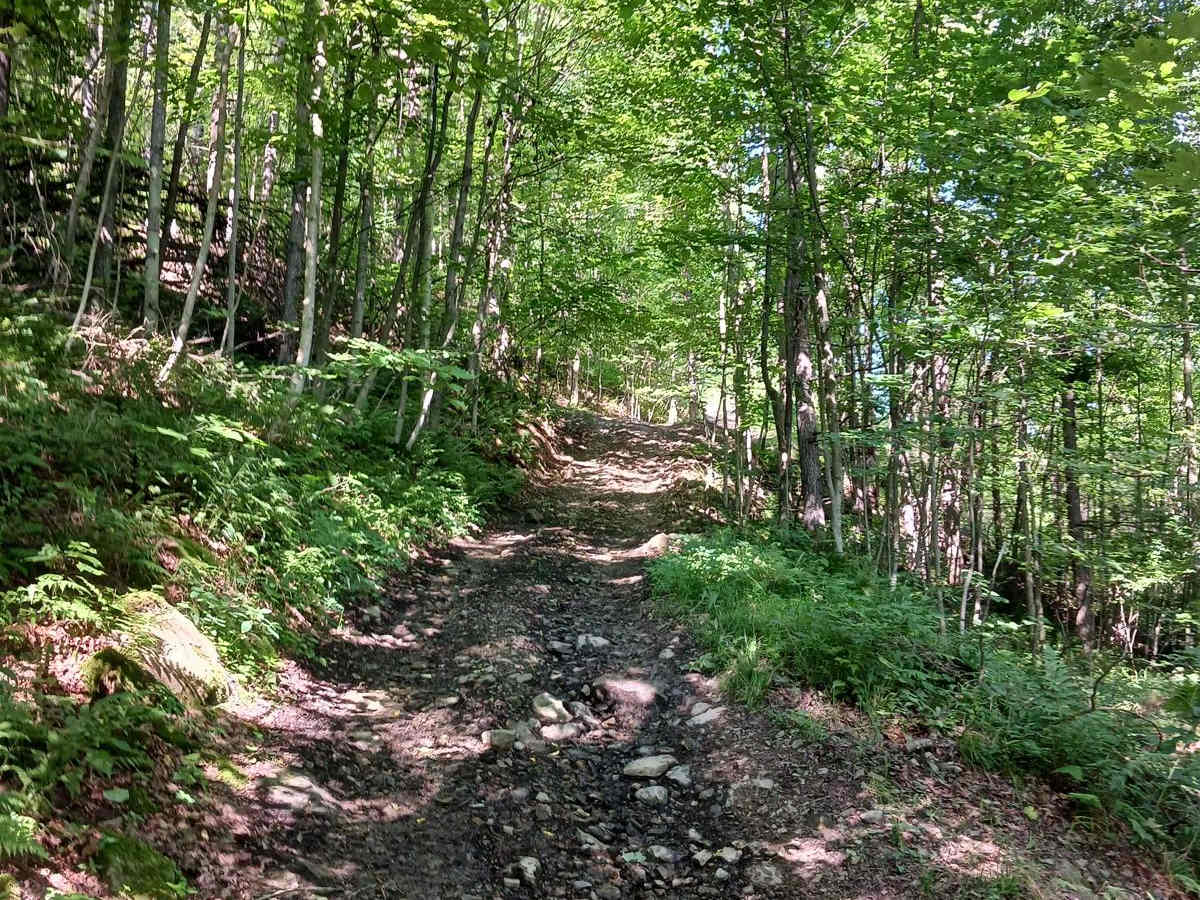 Trail 13G - Rock Run Recreation Area photo 4