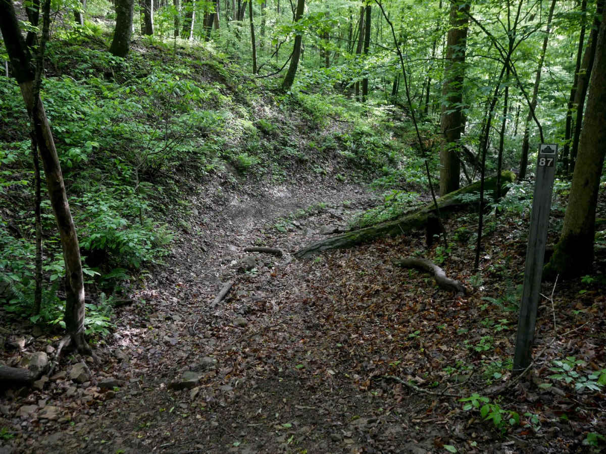 B87 photo 4