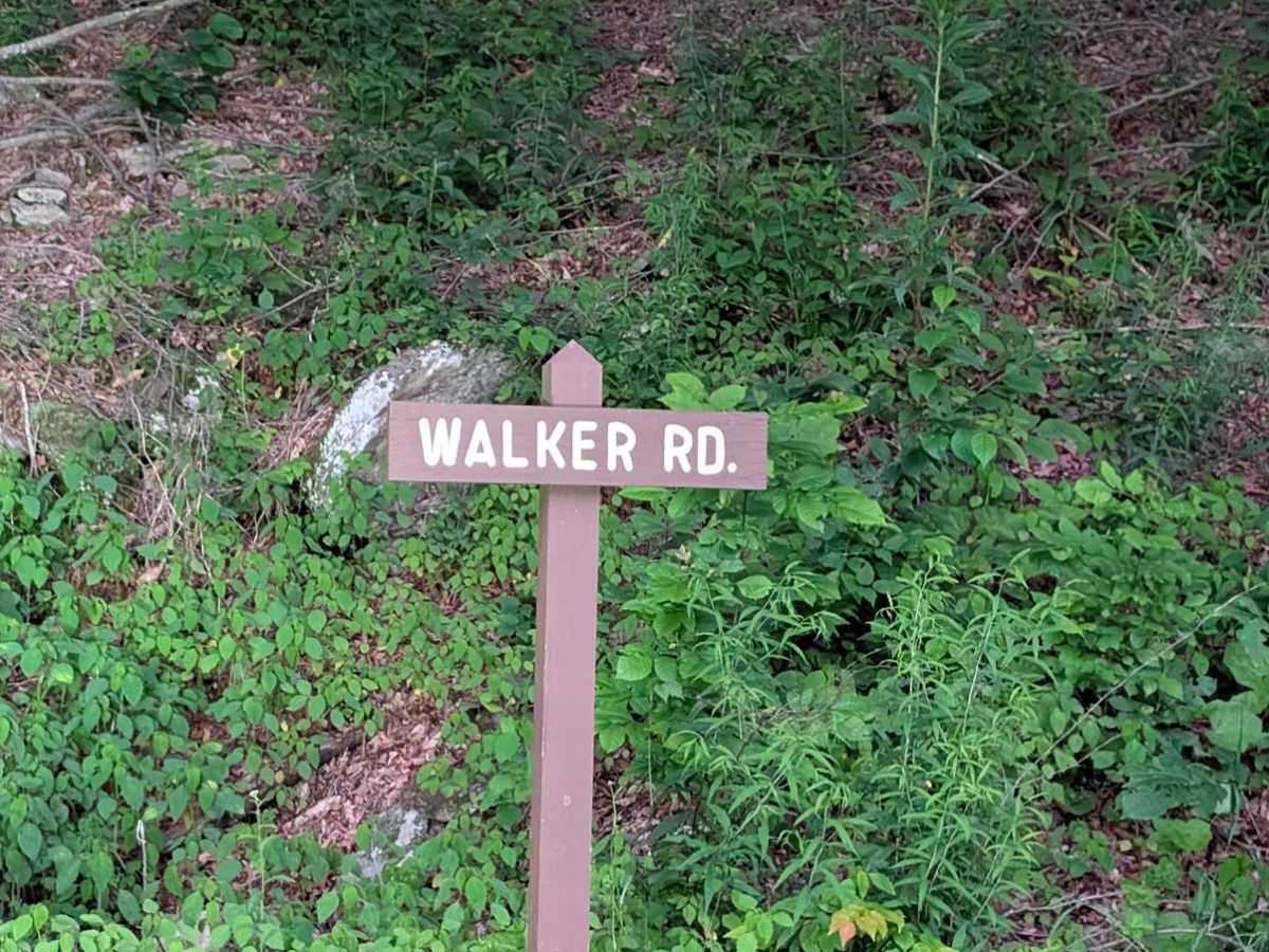 Walker Road trail photo
