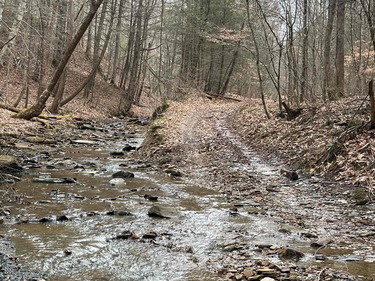 Trail 20 Wash Branch photo 2
