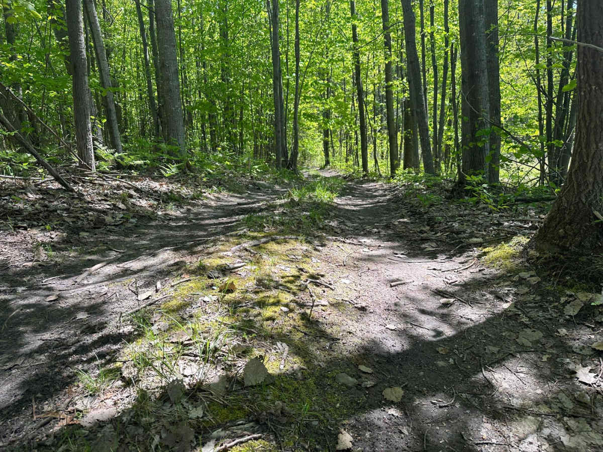 Good Road - FS 8160 photo 6