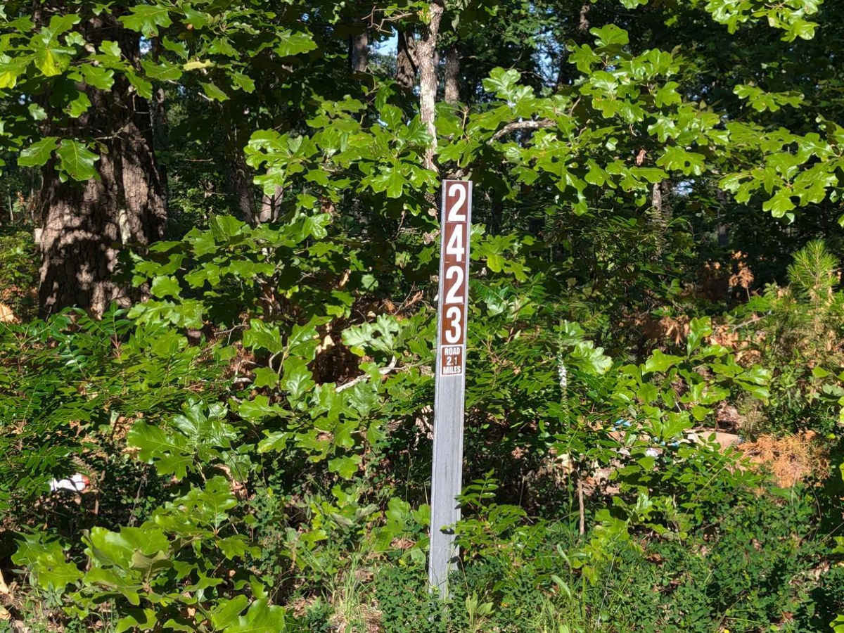 Old Tiff Mill - FSR 2423 photo 2
