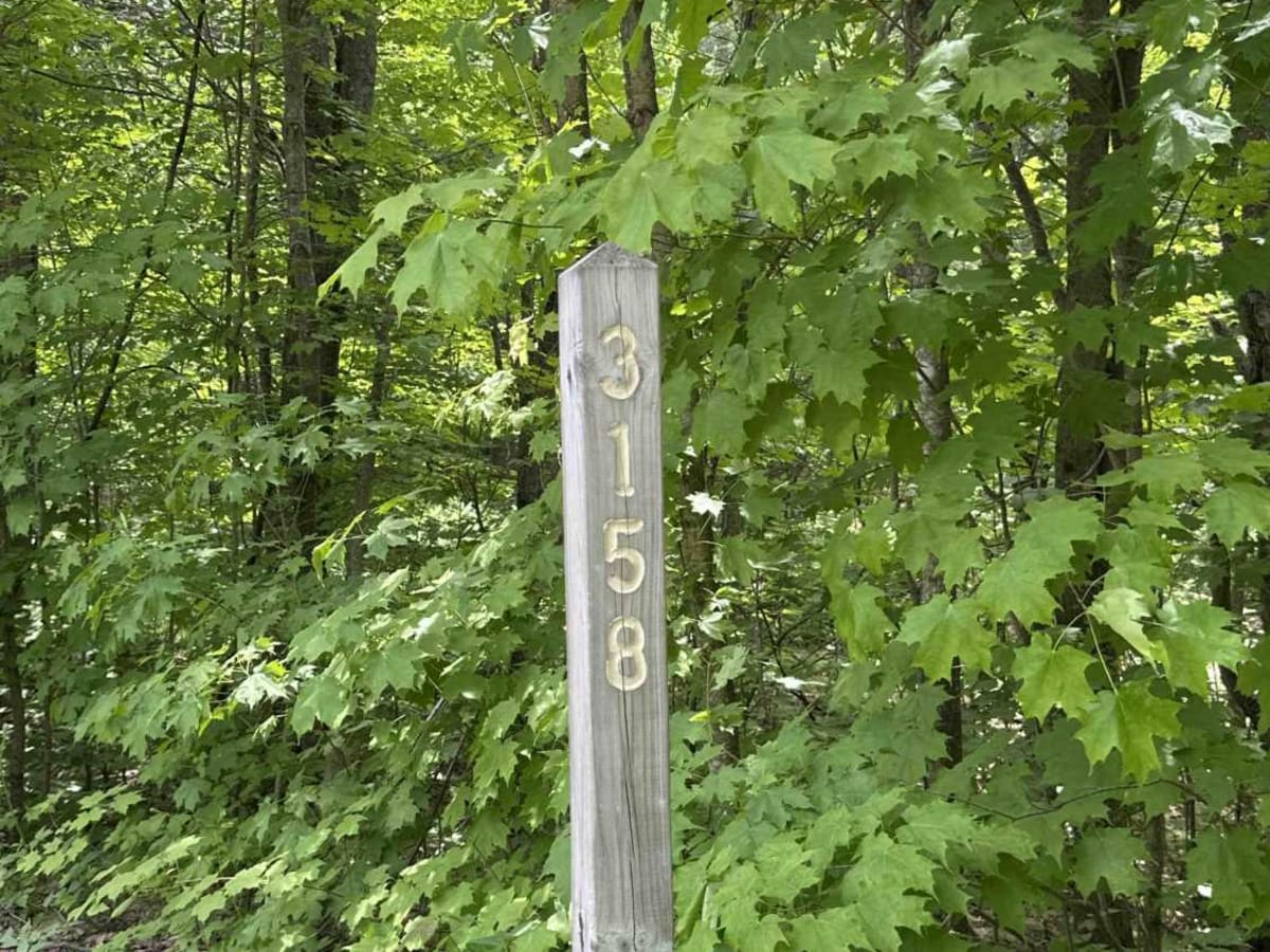 FS 3158 trail photo