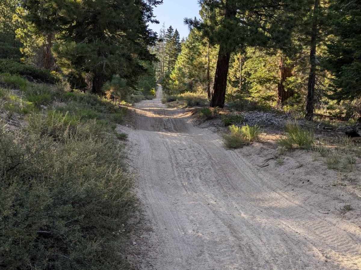 3S121 - Whoopsie Test Ride photo 4