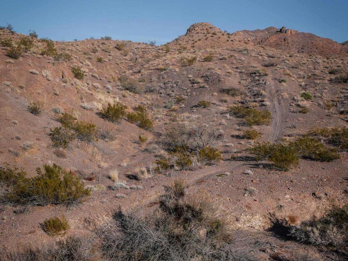 ATV Loop trail photo
