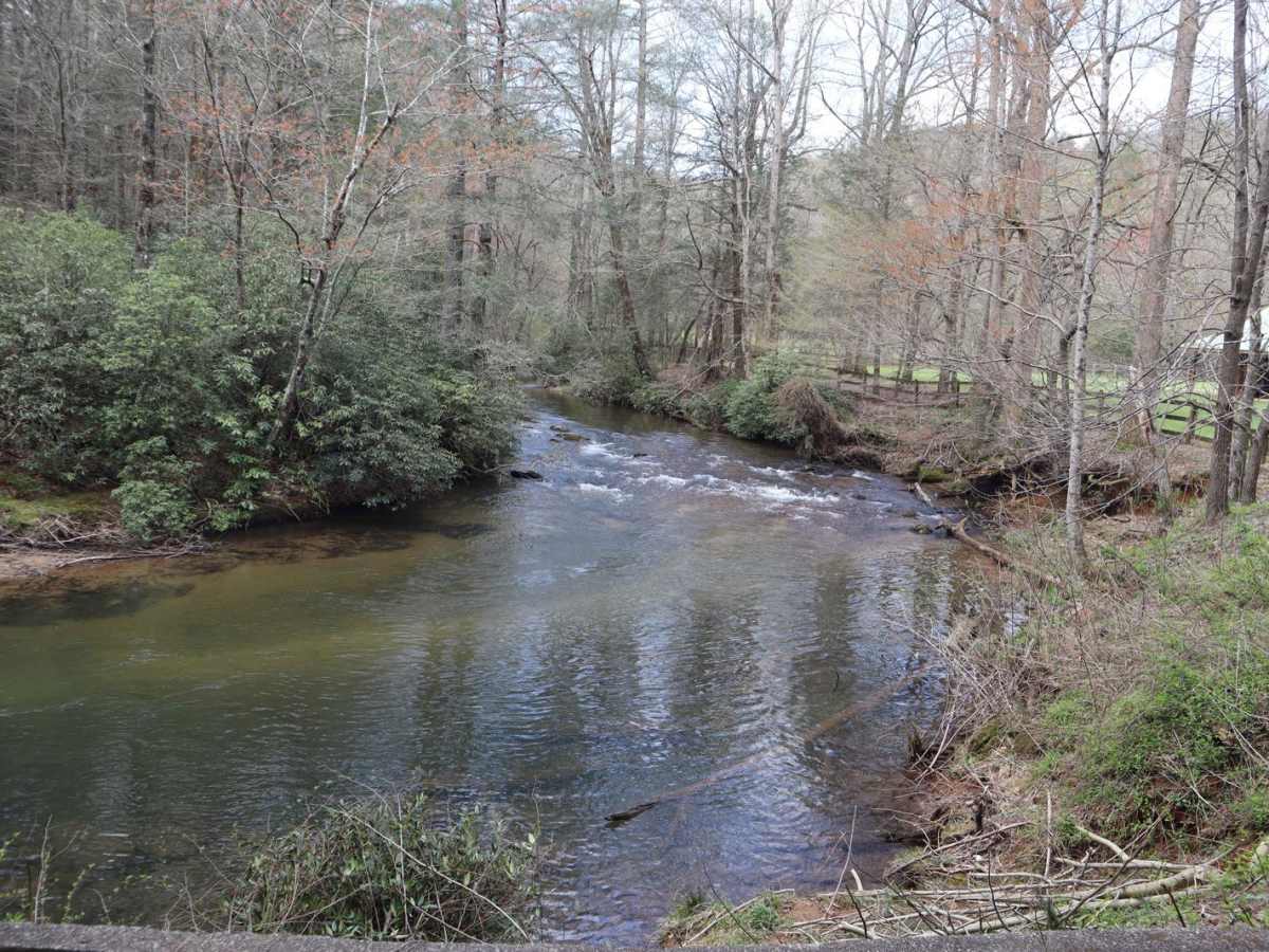 Dicks Creek photo 2