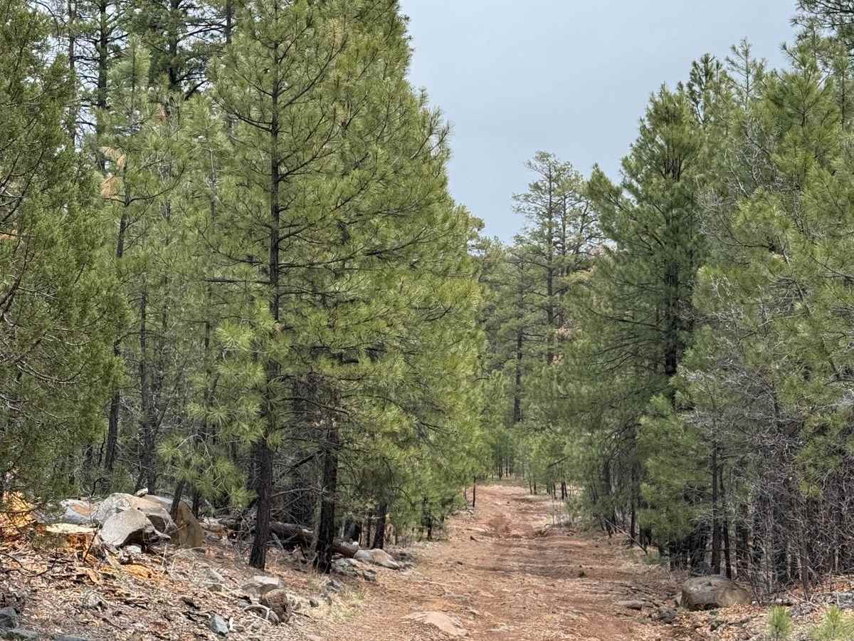 Trail 57 photo 2