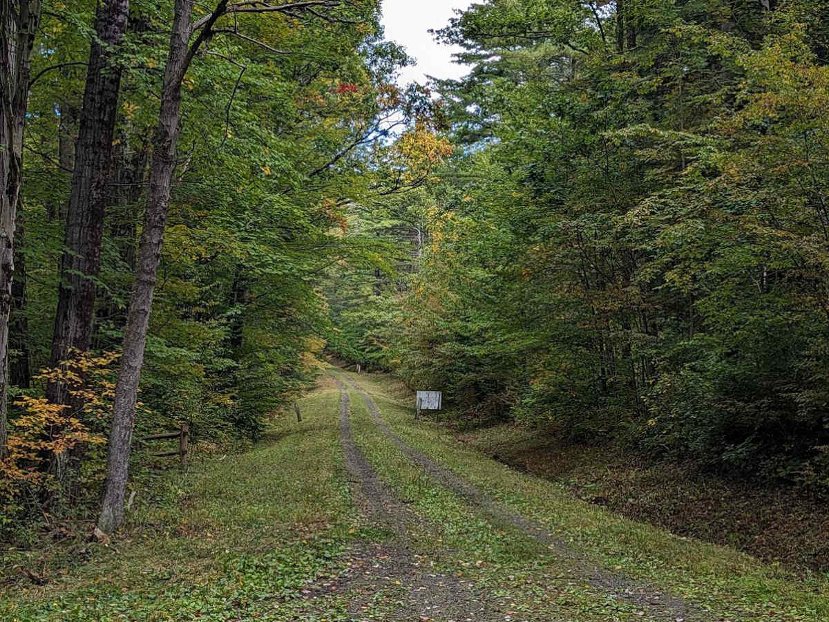 Dennis Road trail photo