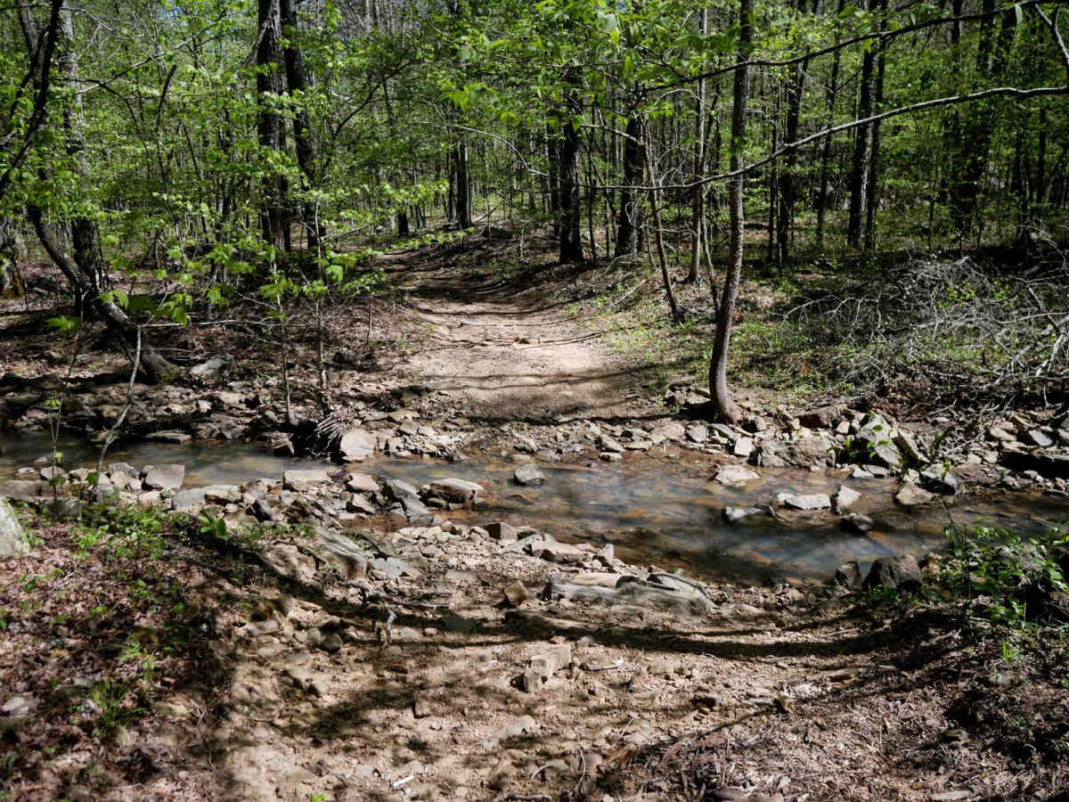 Brock 51 trail photo