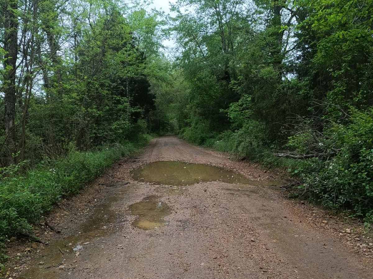 Hackworth Hollow Trail photo 3