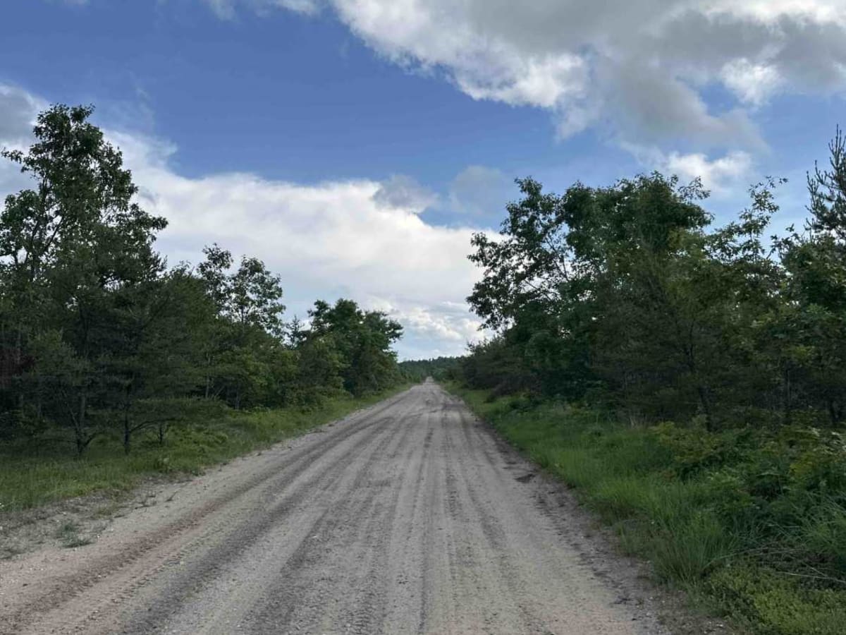 Elk Road photo 5