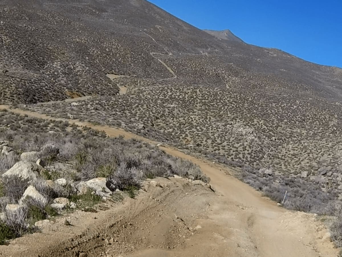Alphie Springs Wash photo 2