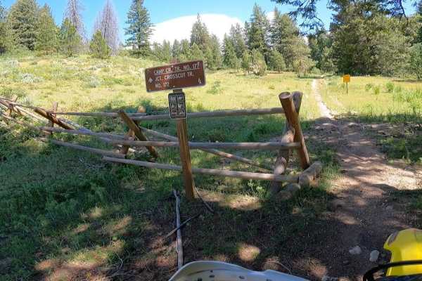 Camp Creek Trail