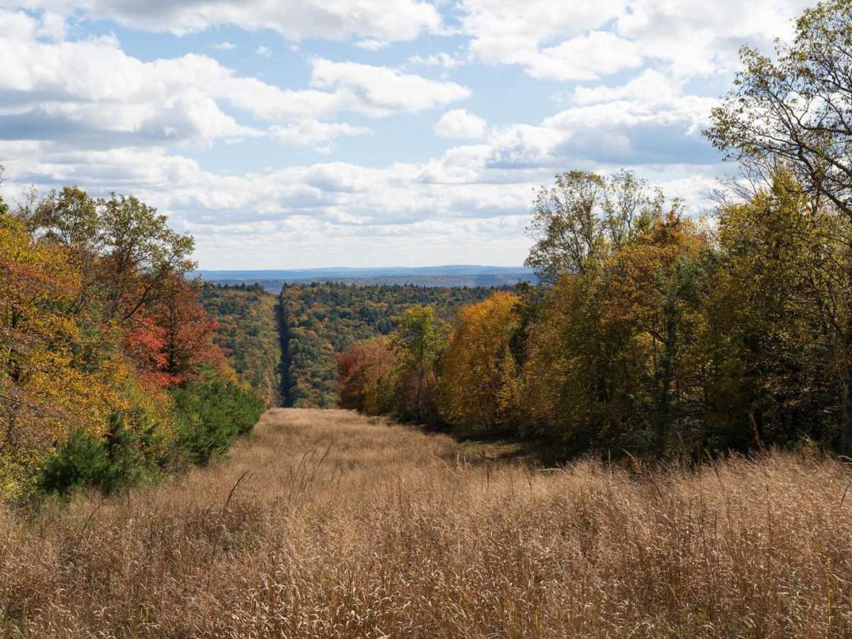 Rag Hollow Road photo 5