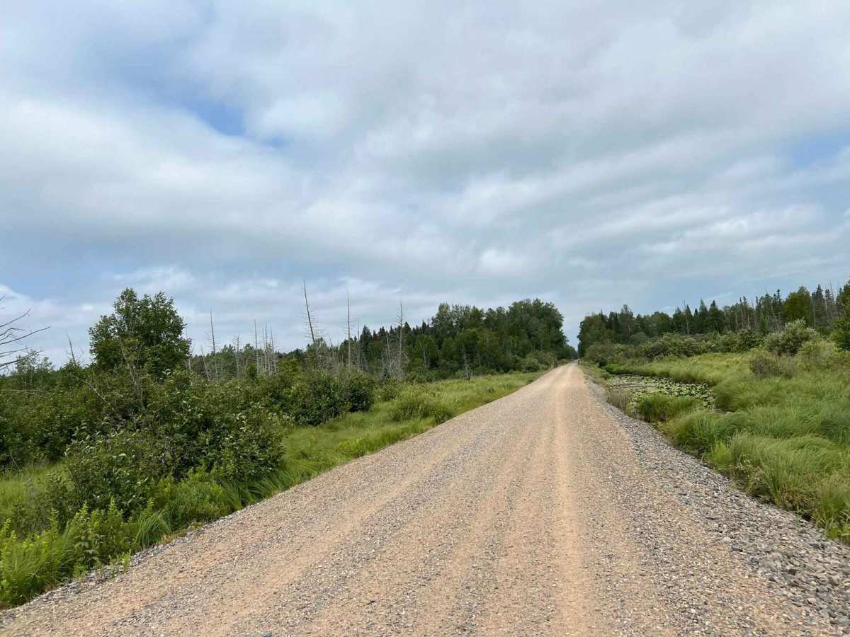 Wolf River State Trail photo 5