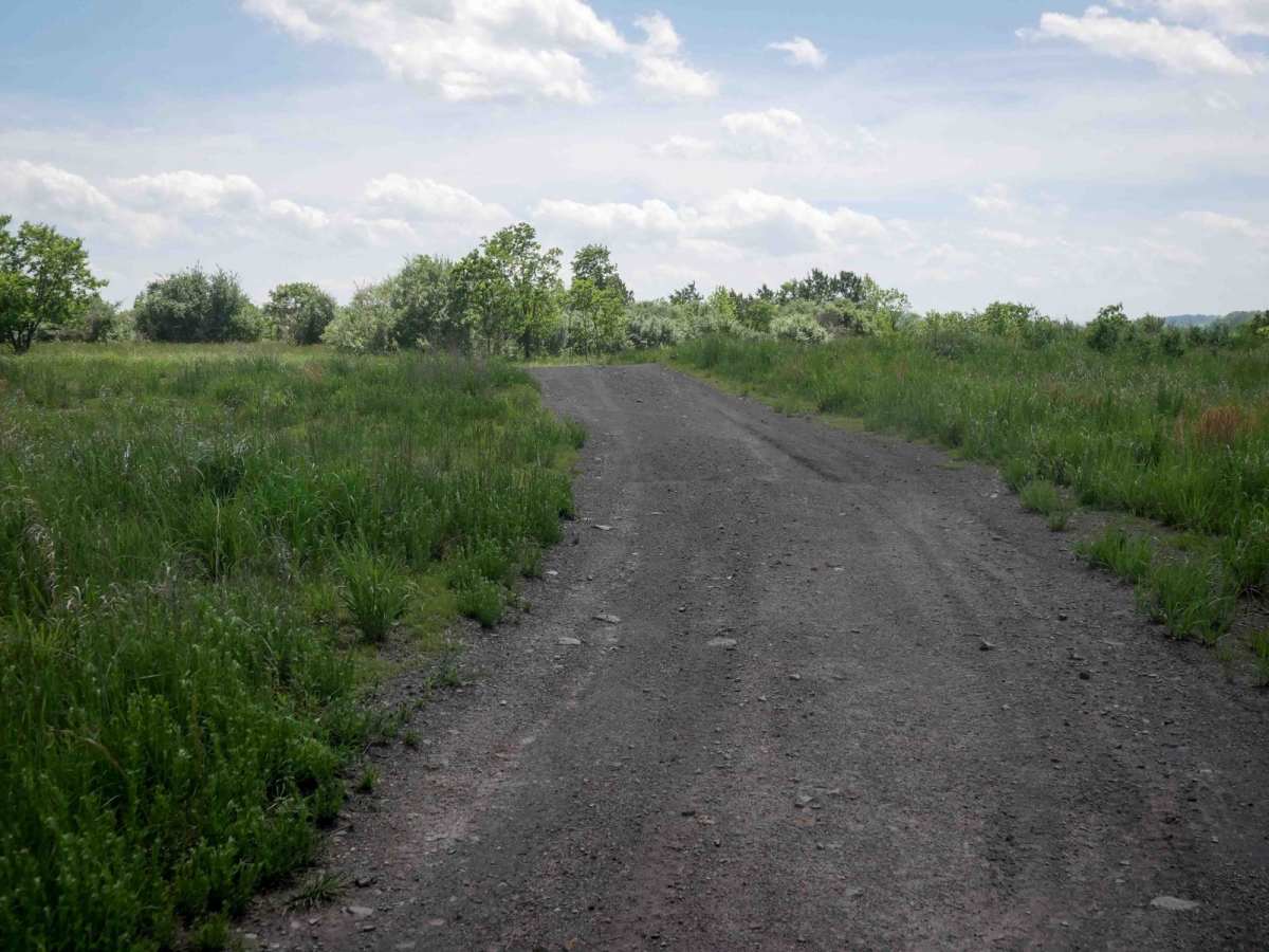 CC9 photo 4