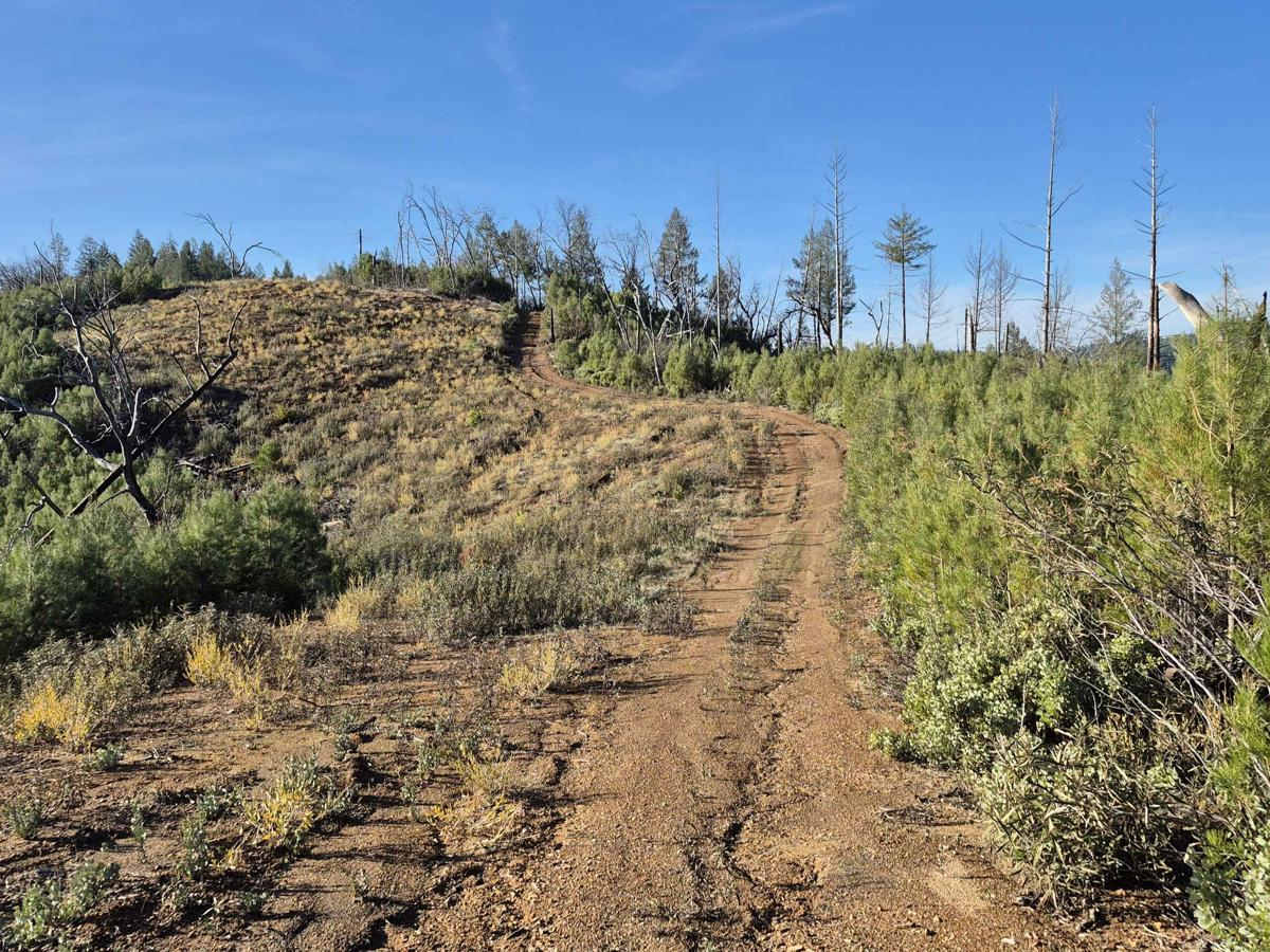 South Volcanoville (13N56) trail photo