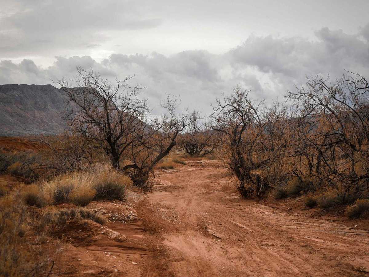 2059 ATV trail photo
