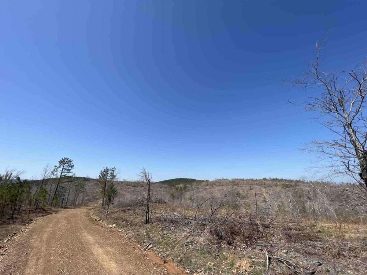 Chula Mountain 4128 photo 6