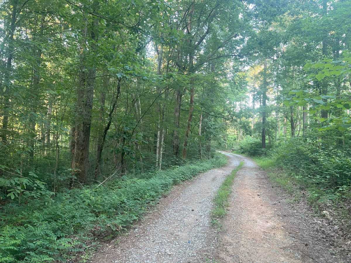 East Armuchee Creek - Forest Road 310 photo 3