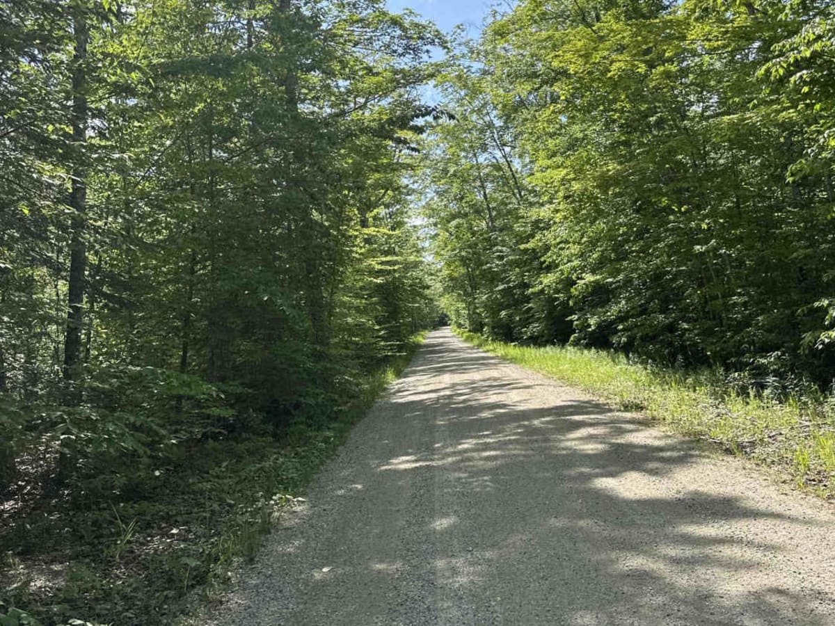 FS 3332 photo 6
