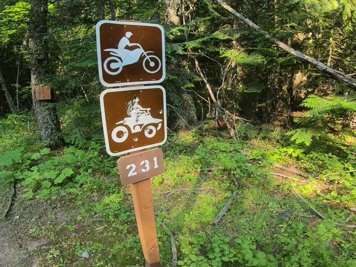 Little Blacktail Trail photo 2