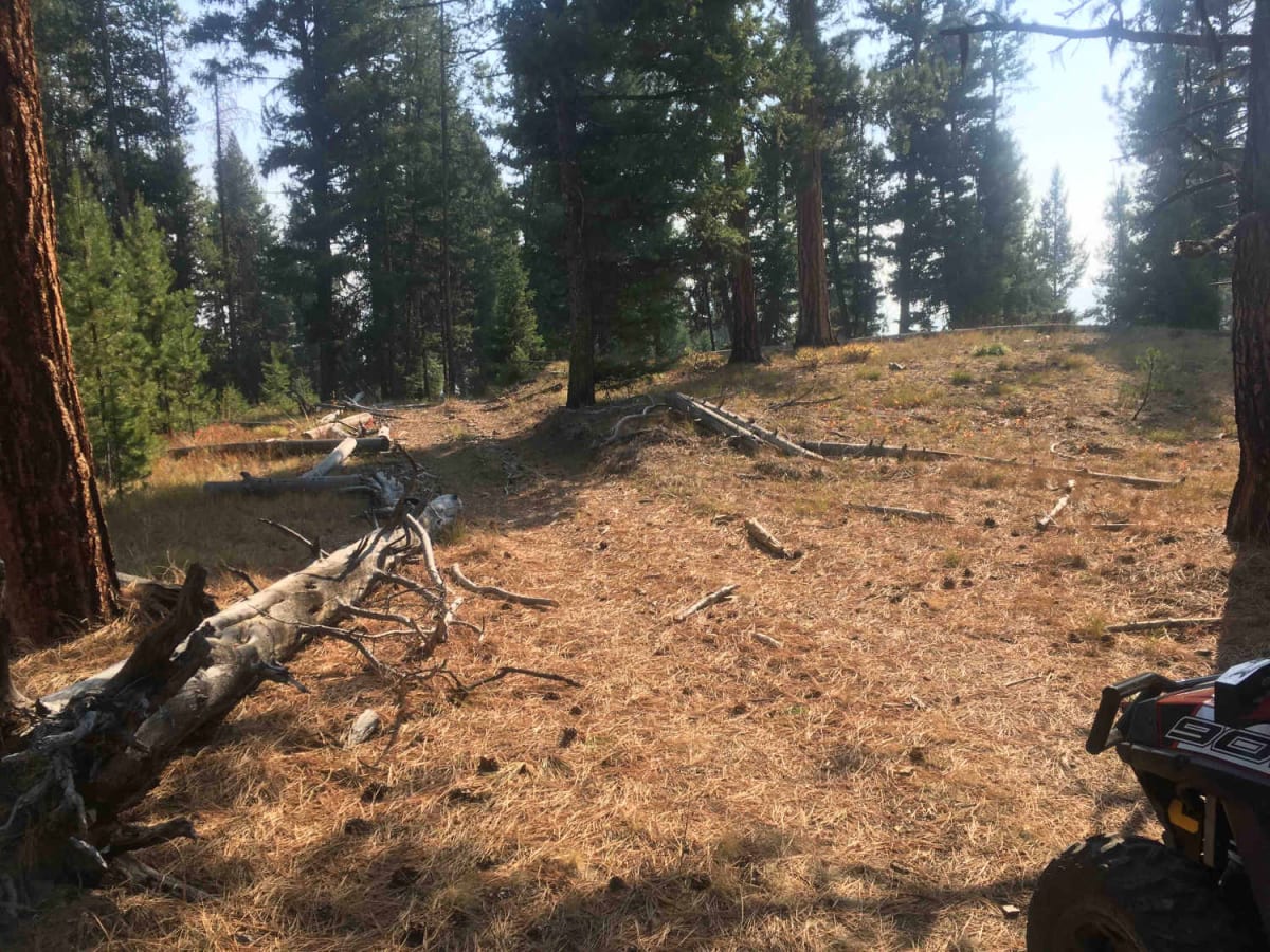 Coal Creek OHV photo 4
