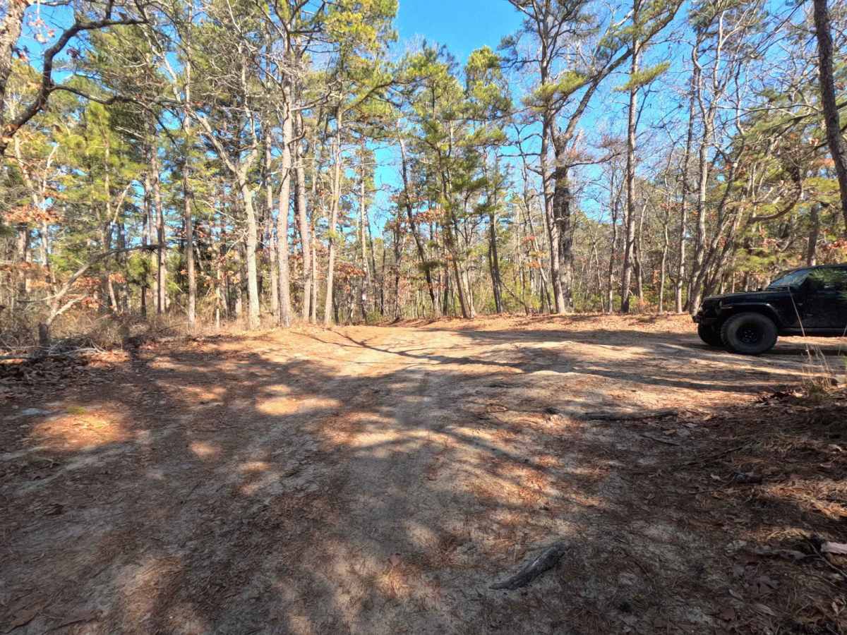 Lower Forge Road trail photo