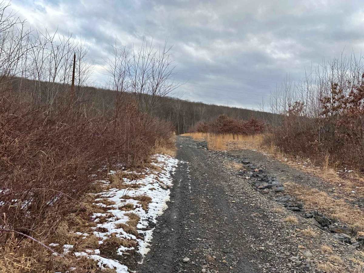 Ashland 142 photo 3