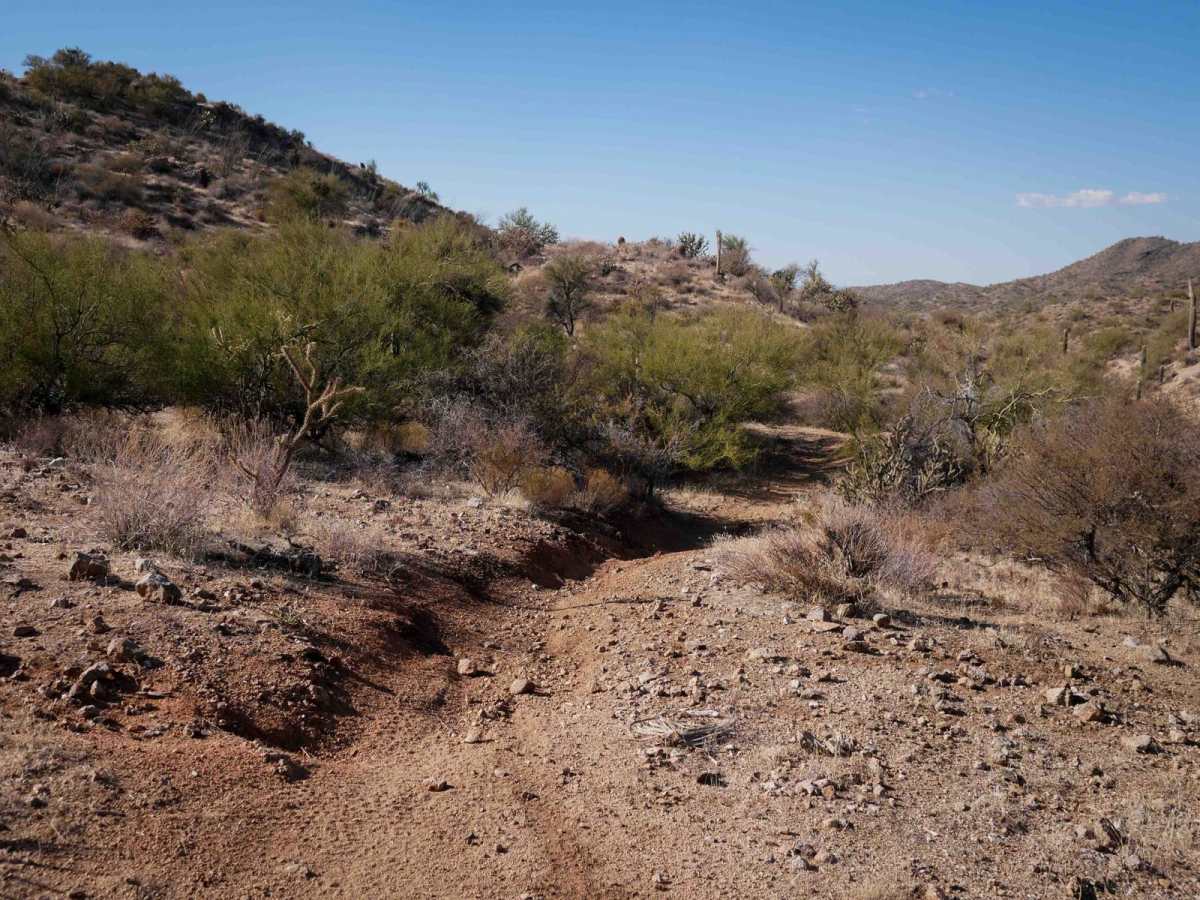 32054 trail photo