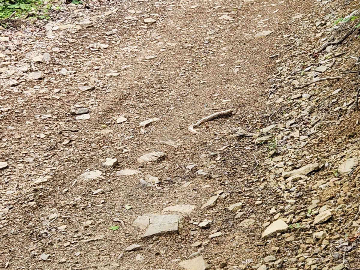 Trail 3 - Green - Rock Run Recreation Area photo 3