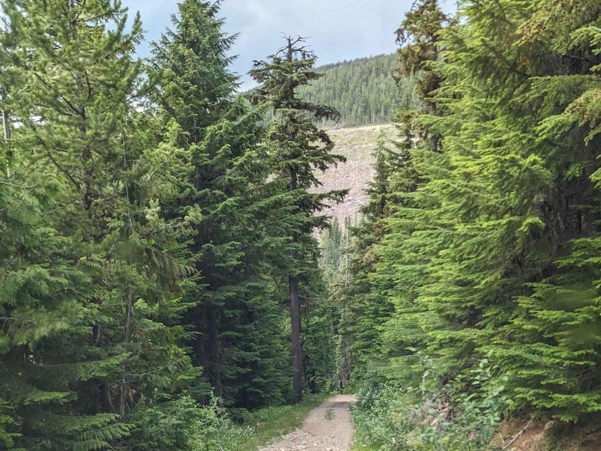 Dodge Creek to Boundary Lake photo 3