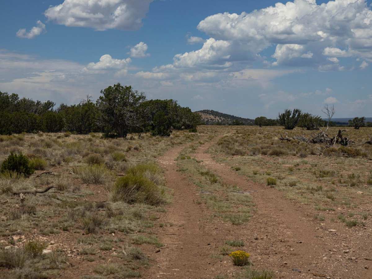 Antelope Run trail photo