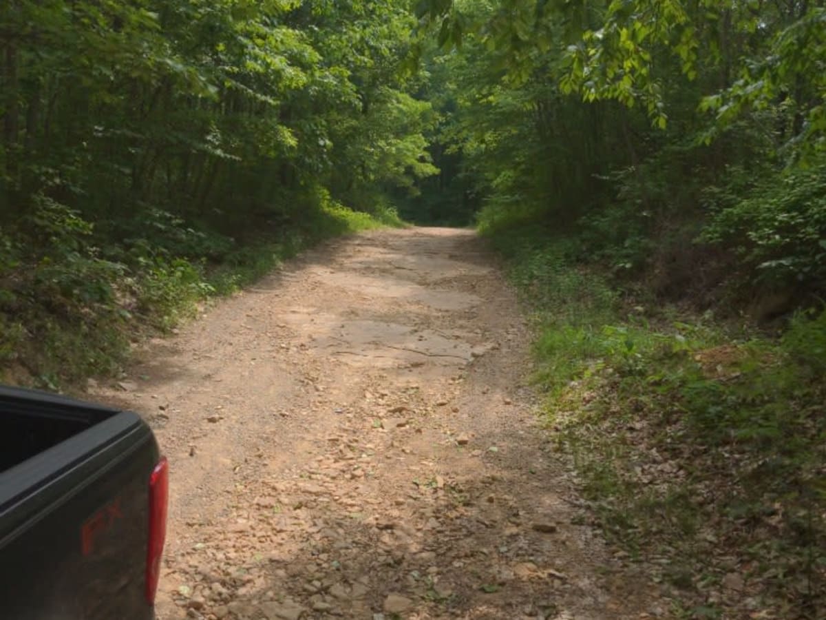 Brown Road photo 5