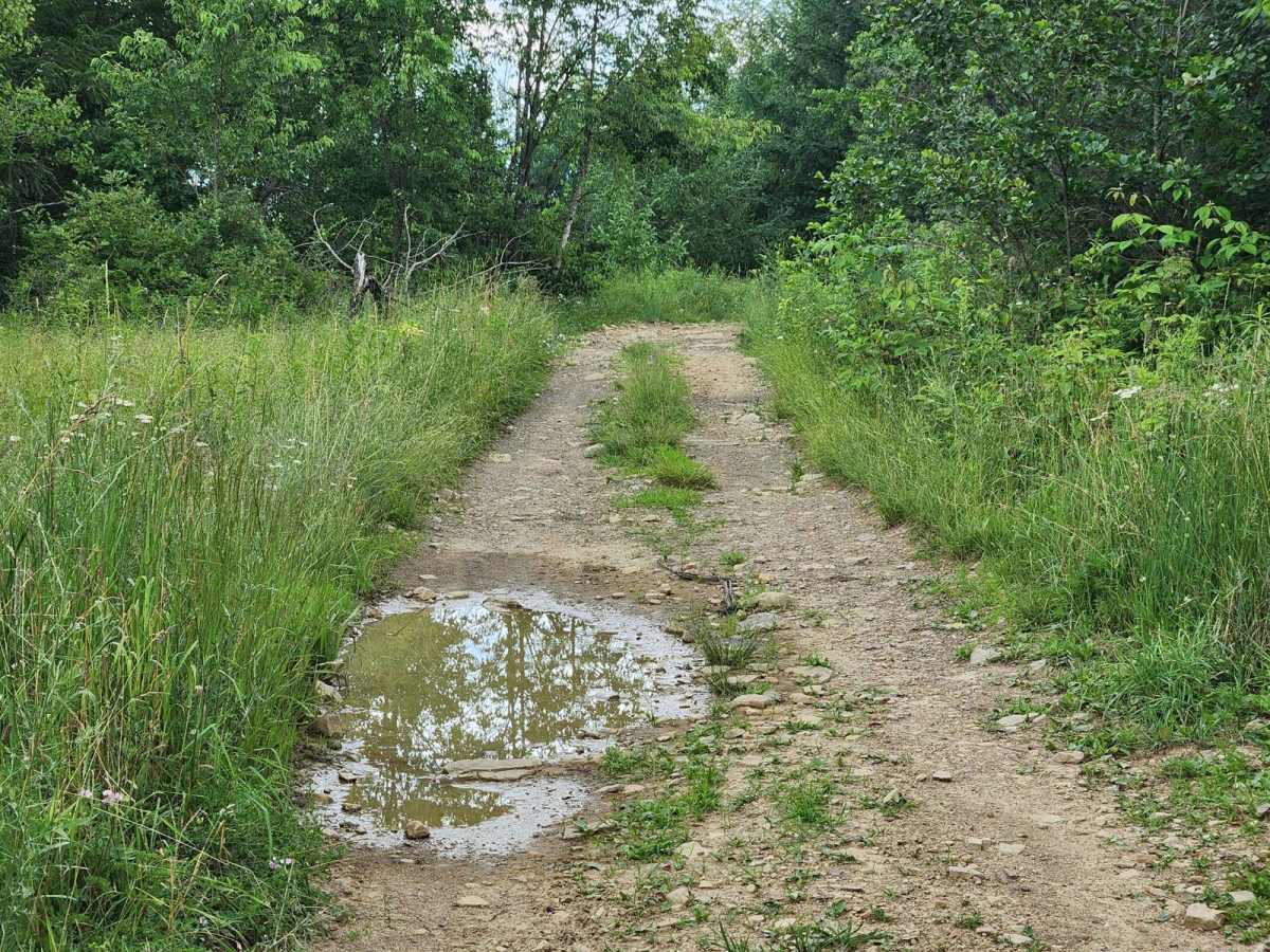 Trail 10E - Rock Run Recreation Area photo 3