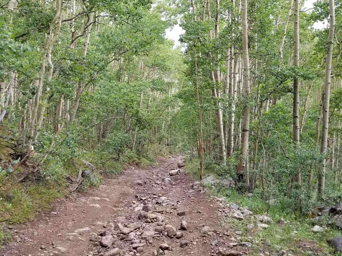 Express Creek photo 4